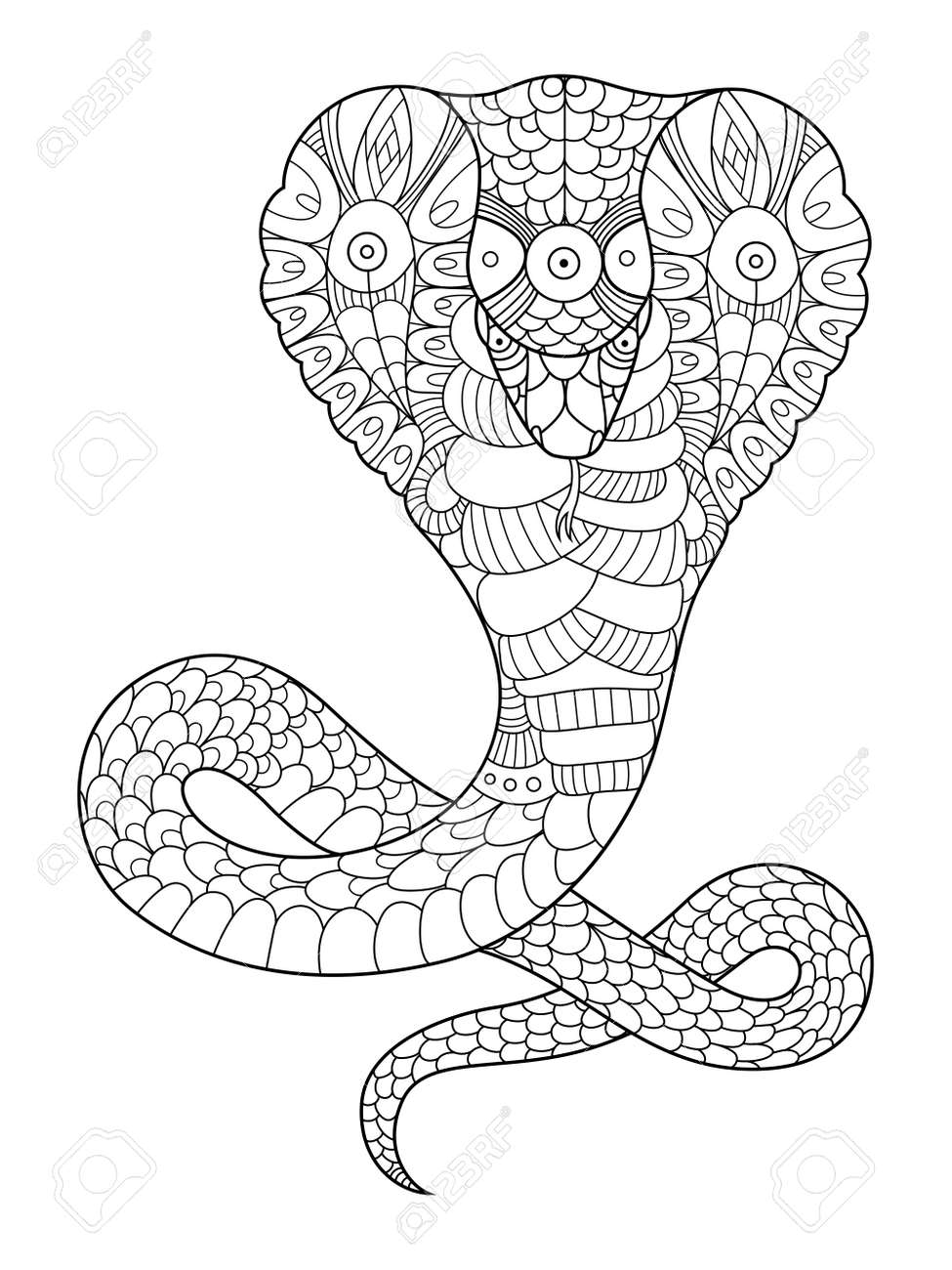 Cobra snake coloring book for adults vector illustration anti