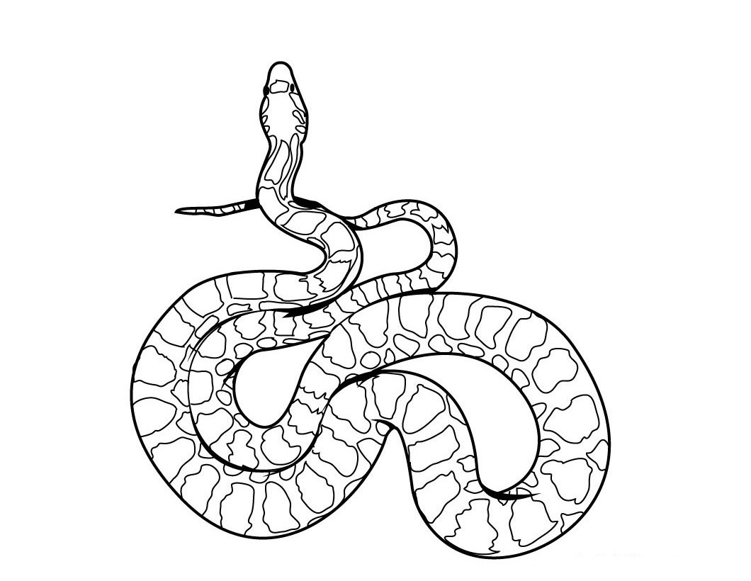 Free printable snake coloring pages for kids