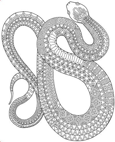 Snakes coloring pages ideas snake coloring pages coloring pages animal coloring pages