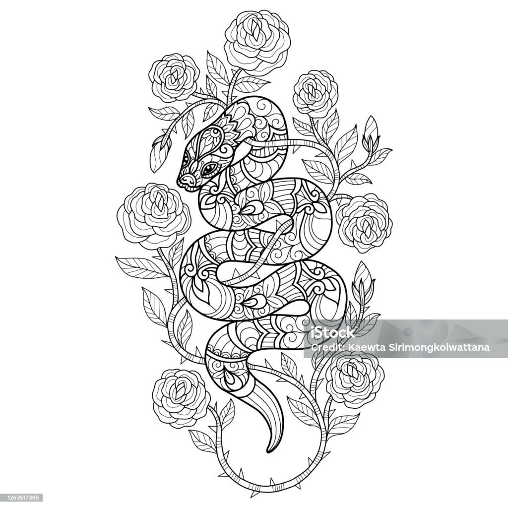 Doodle snake and rose tangles adult coloring page illustration style stock illustration