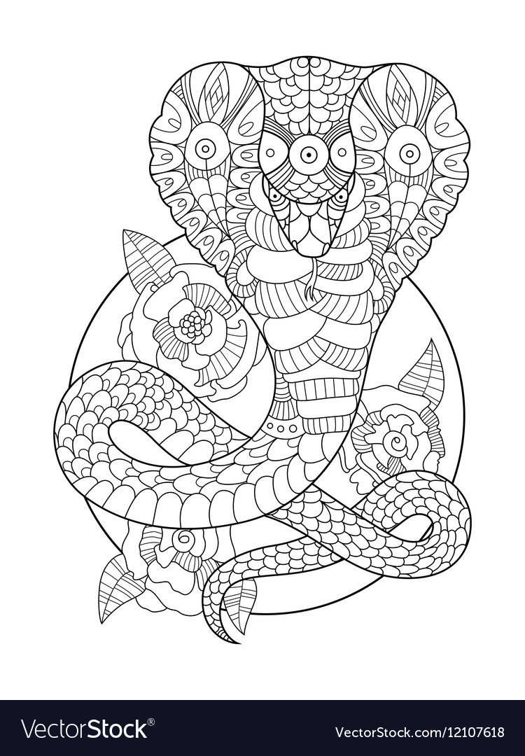 Cobra snake coloring book for adults royalty free vector