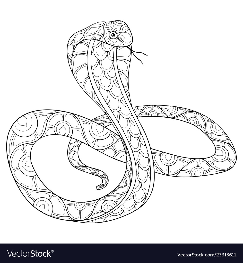 Adult coloring bookpage a cute snake image vector image