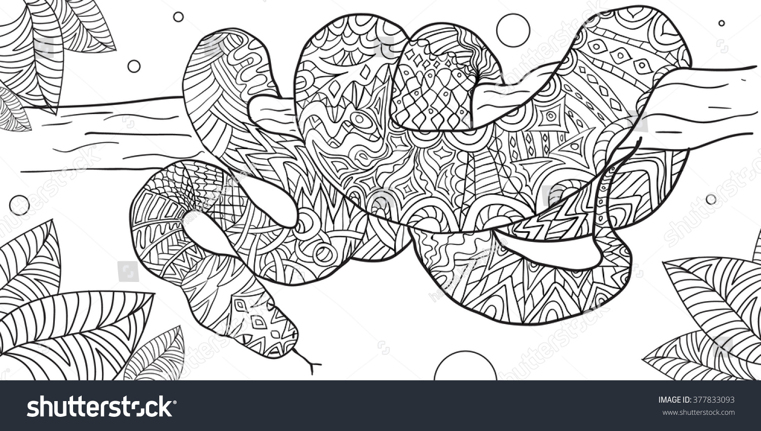 Hand drawn coloring pages boa snake stock vector royalty free