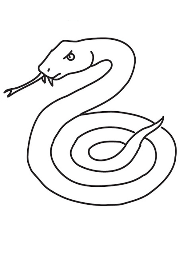 Coloring pages snake coloring pages pdf for kids