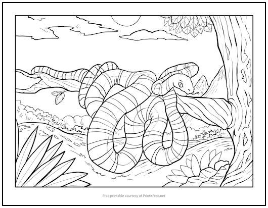 Snake in tree coloring page print it free