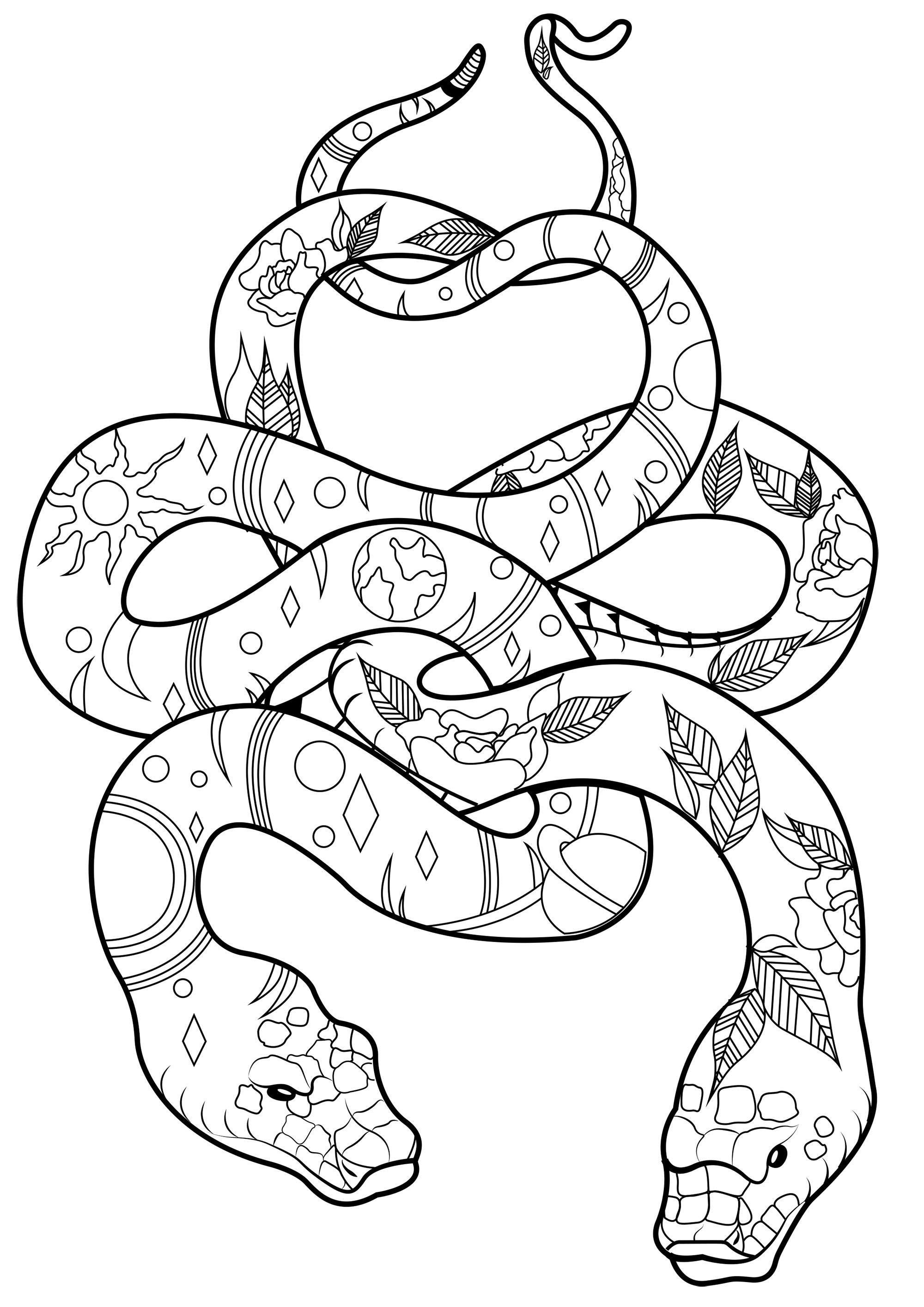 Two snakes with patterns