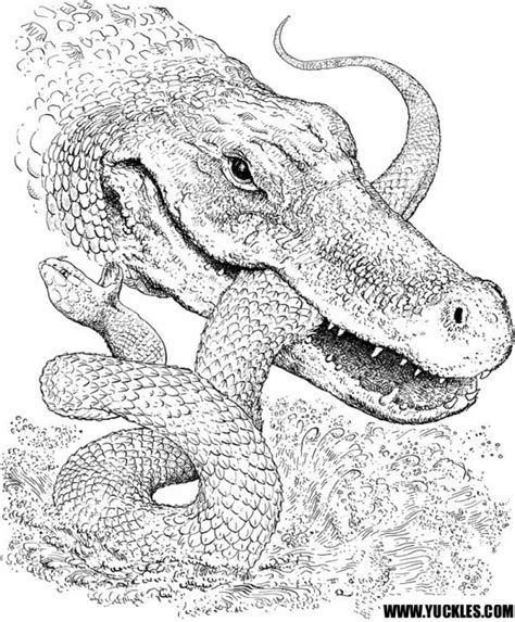 Animal alligator coloring pages at ciarahenley snake coloring pages zoo animal coloring pages turtle coloring pages