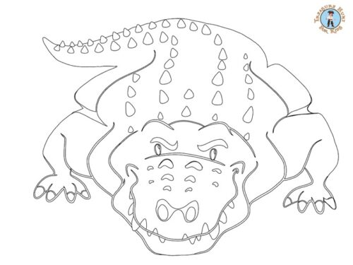 Crocodile coloring page