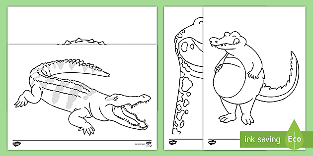 Crocodile colouring pages teacher made