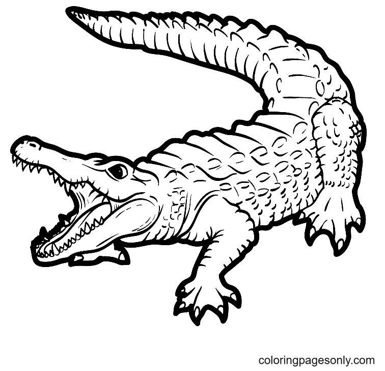 Alligator coloring pages printable for free download