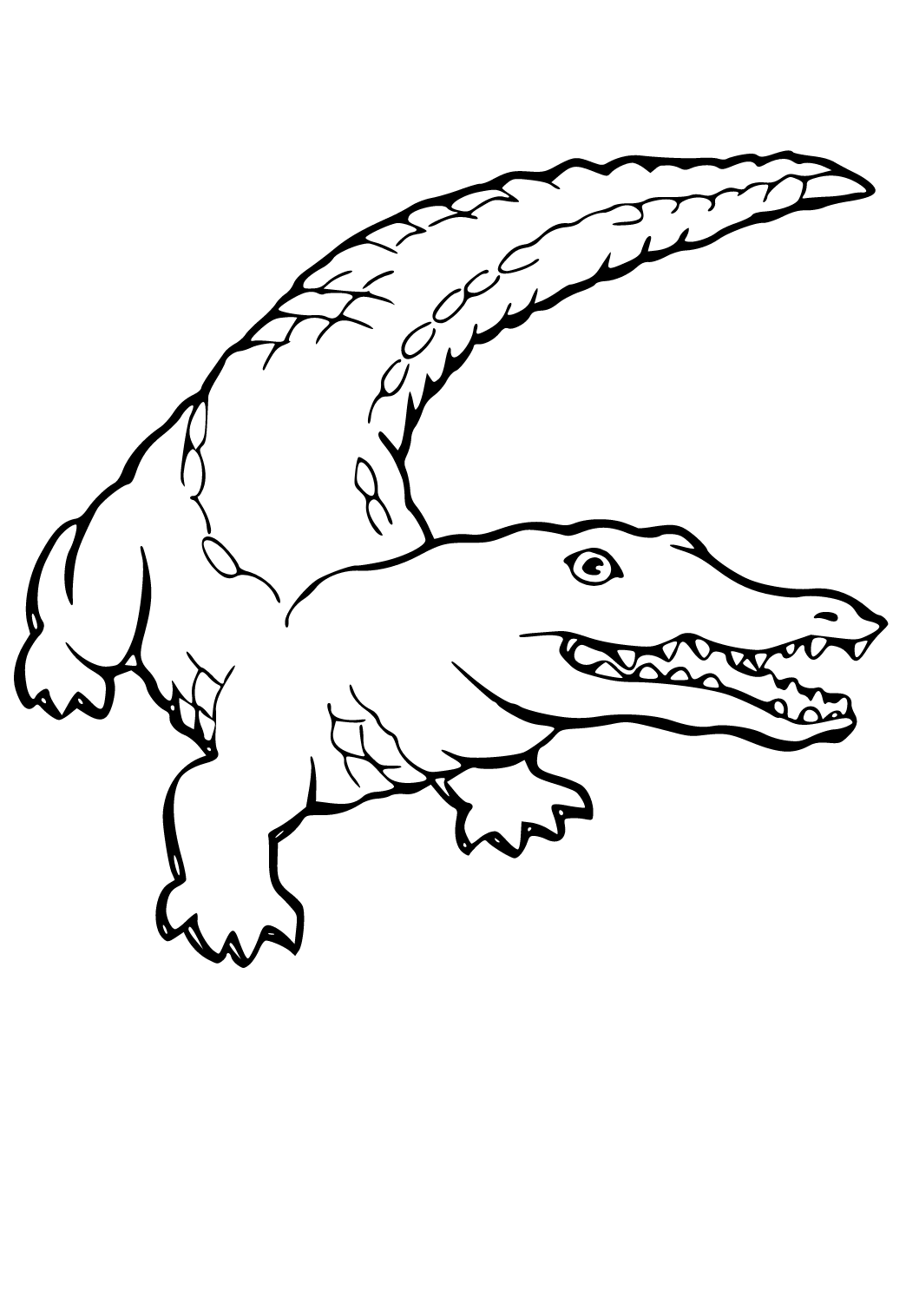 Free printable crocodile easy coloring page sheet and picture for adults and kids girls and boys