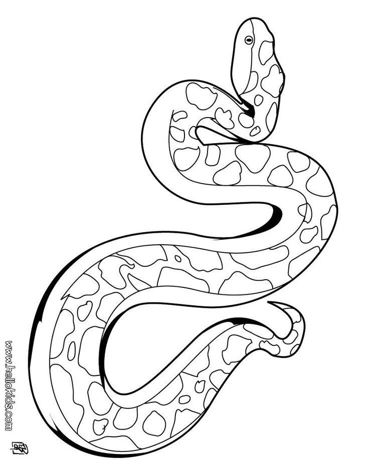 Snake coloring pages