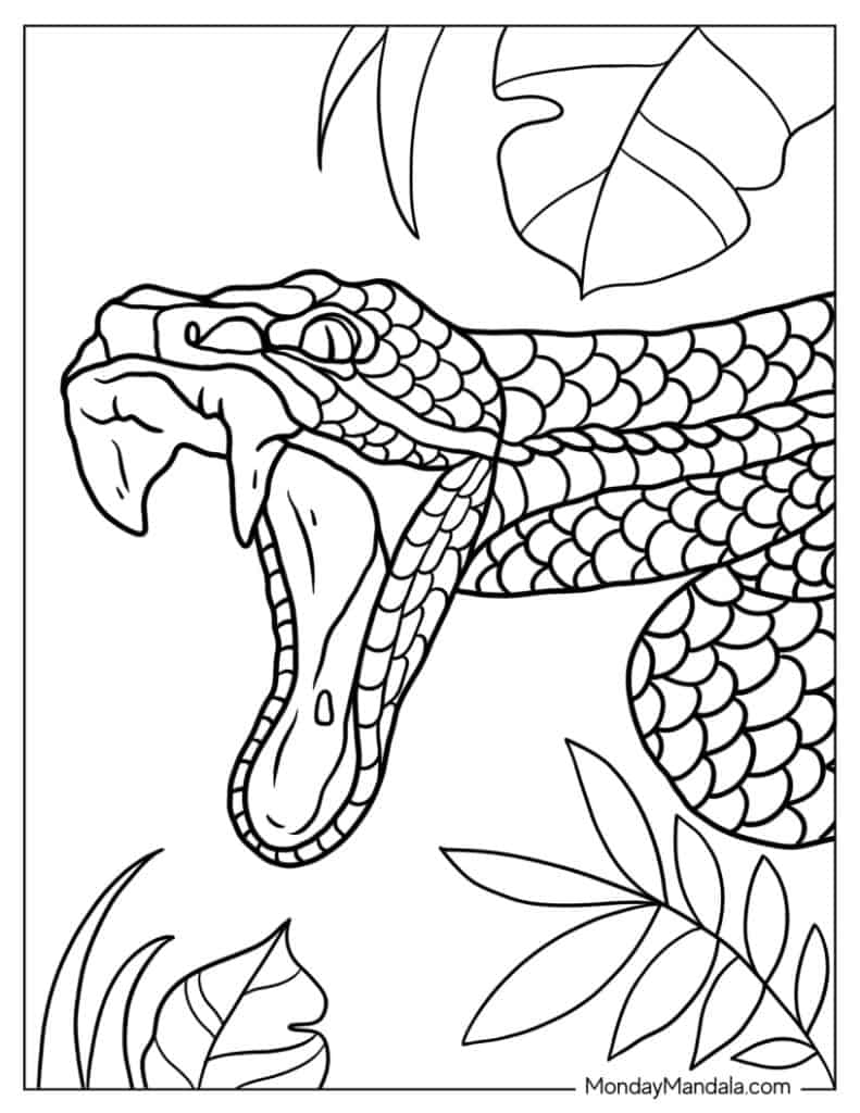 Snake coloring pages free pdf printables