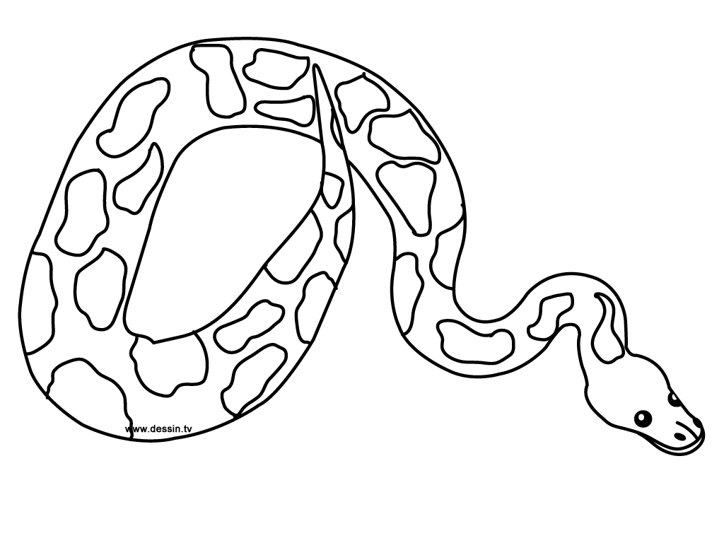 Free printable snake coloring pages for kids