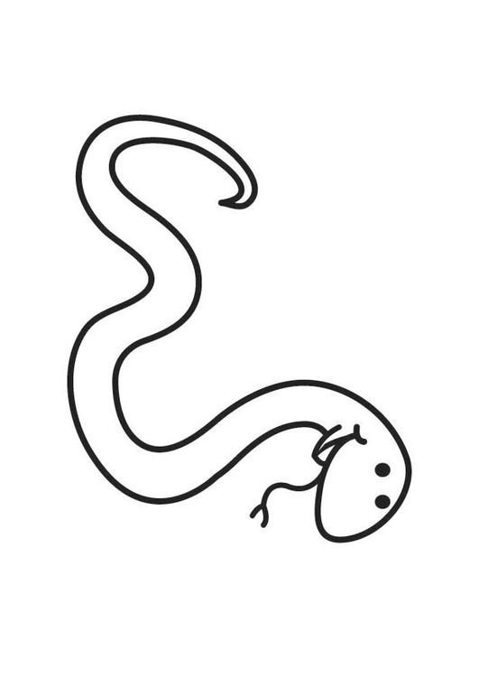 Coloring page snake