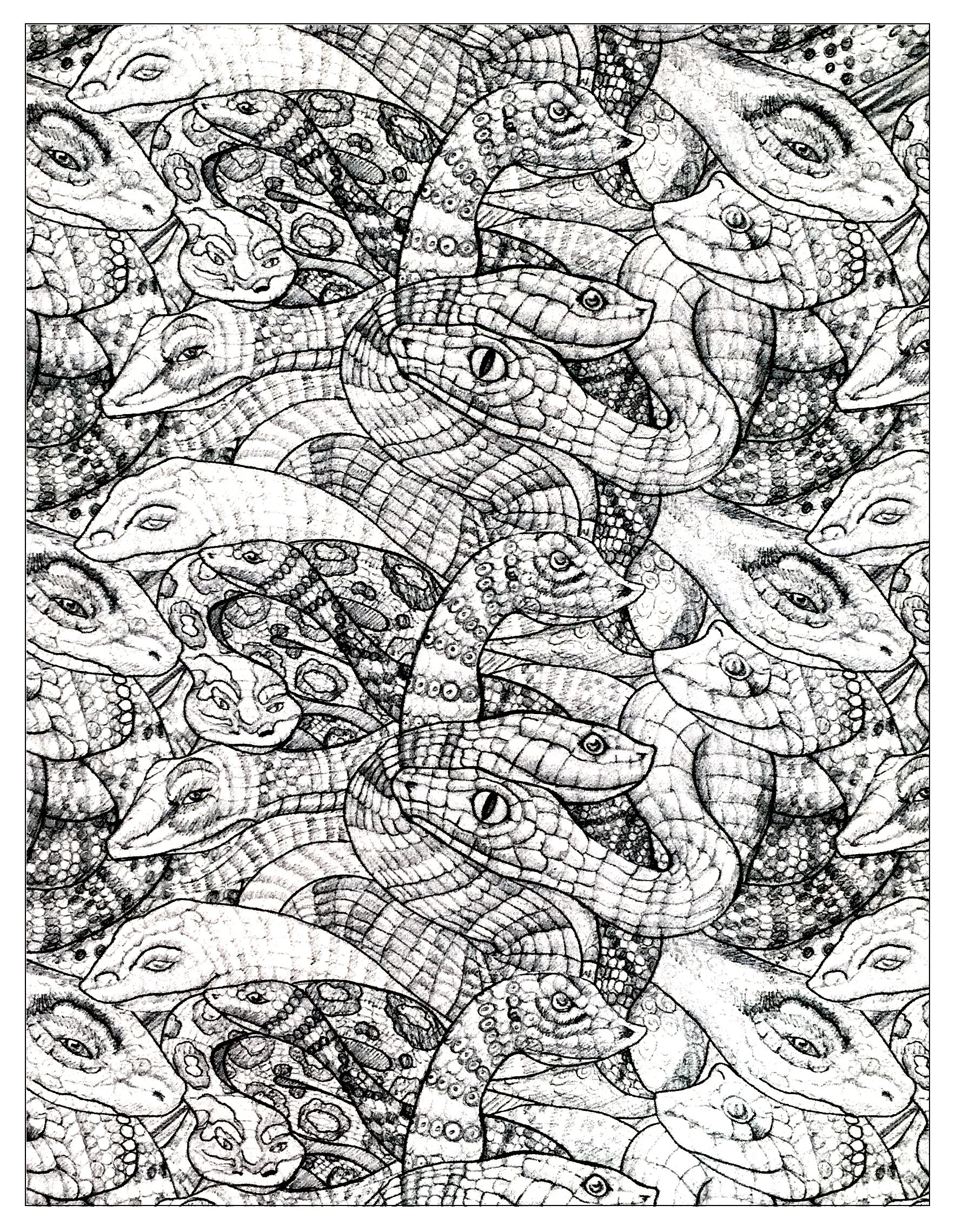 Drawing full of snakes