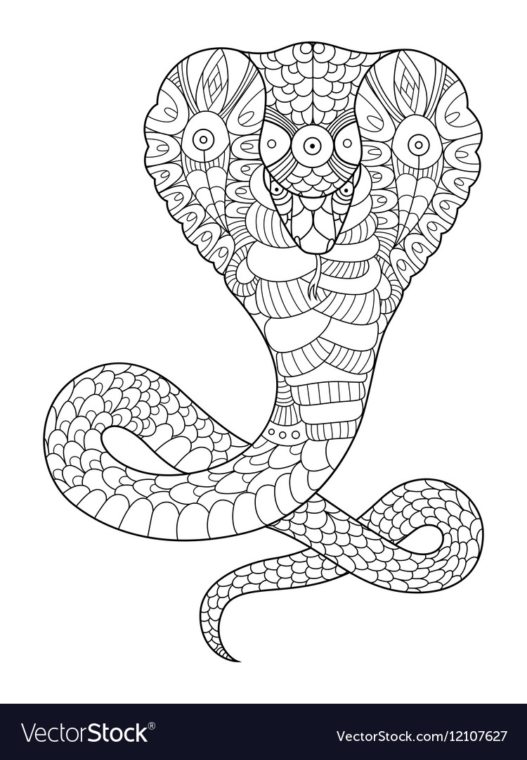 Cobra snake coloring book for adults royalty free vector