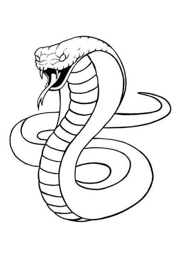 Coloring pages snake cartoon coloring pages for kids