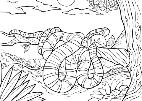 Banded krait snake coloring page free printable coloring pages