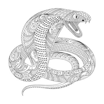 Coloring book snakes images â browse photos vectors and video