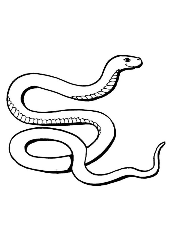 Coloring pages free printable snakes coloring pages for kids