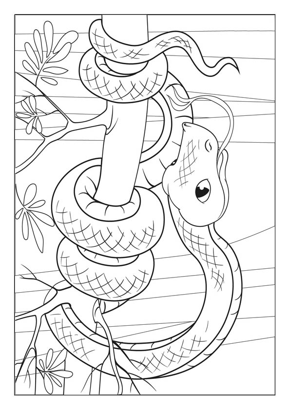 Snake coloring pages printable coloring sheets