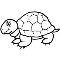 Snapping turtle coloring pages