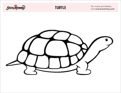 Rest your shell for a spell you gotta sea these turtle coloring pages