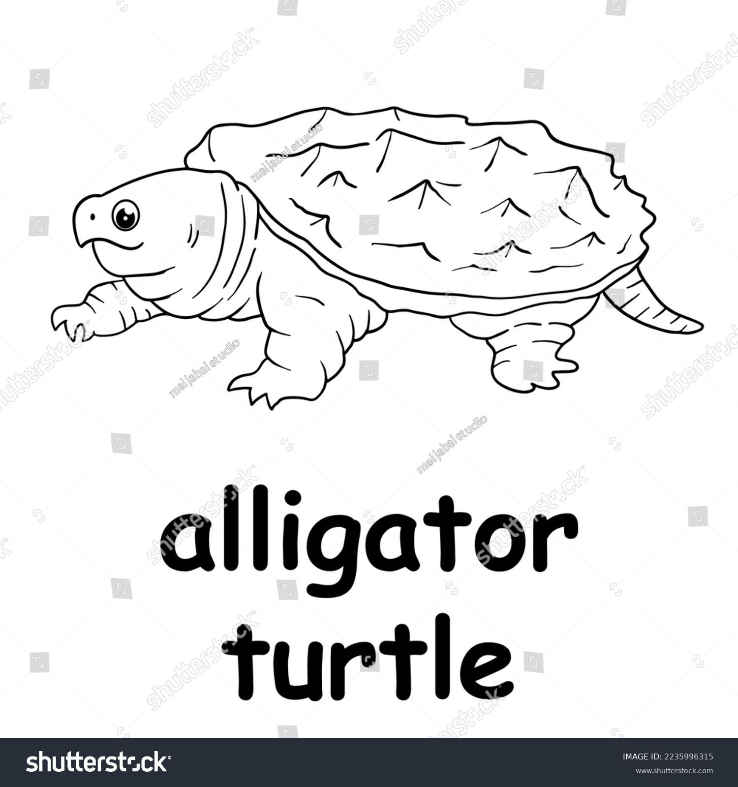 Kids line illustration coloring alligator turtle stock vector royalty free