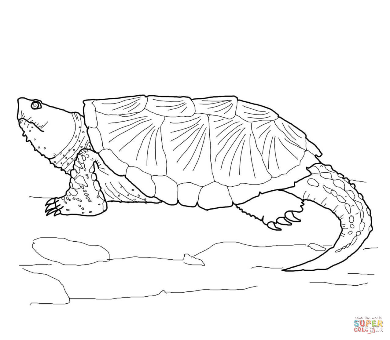 Mon snapping turtle coloring page free printable coloring pages