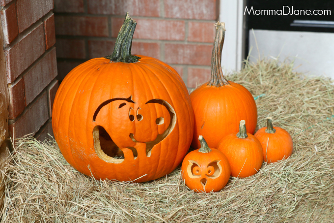 Carve a snoopy pumpkin