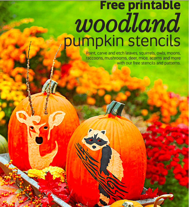 Free printable pumpkin stencils halloween printables