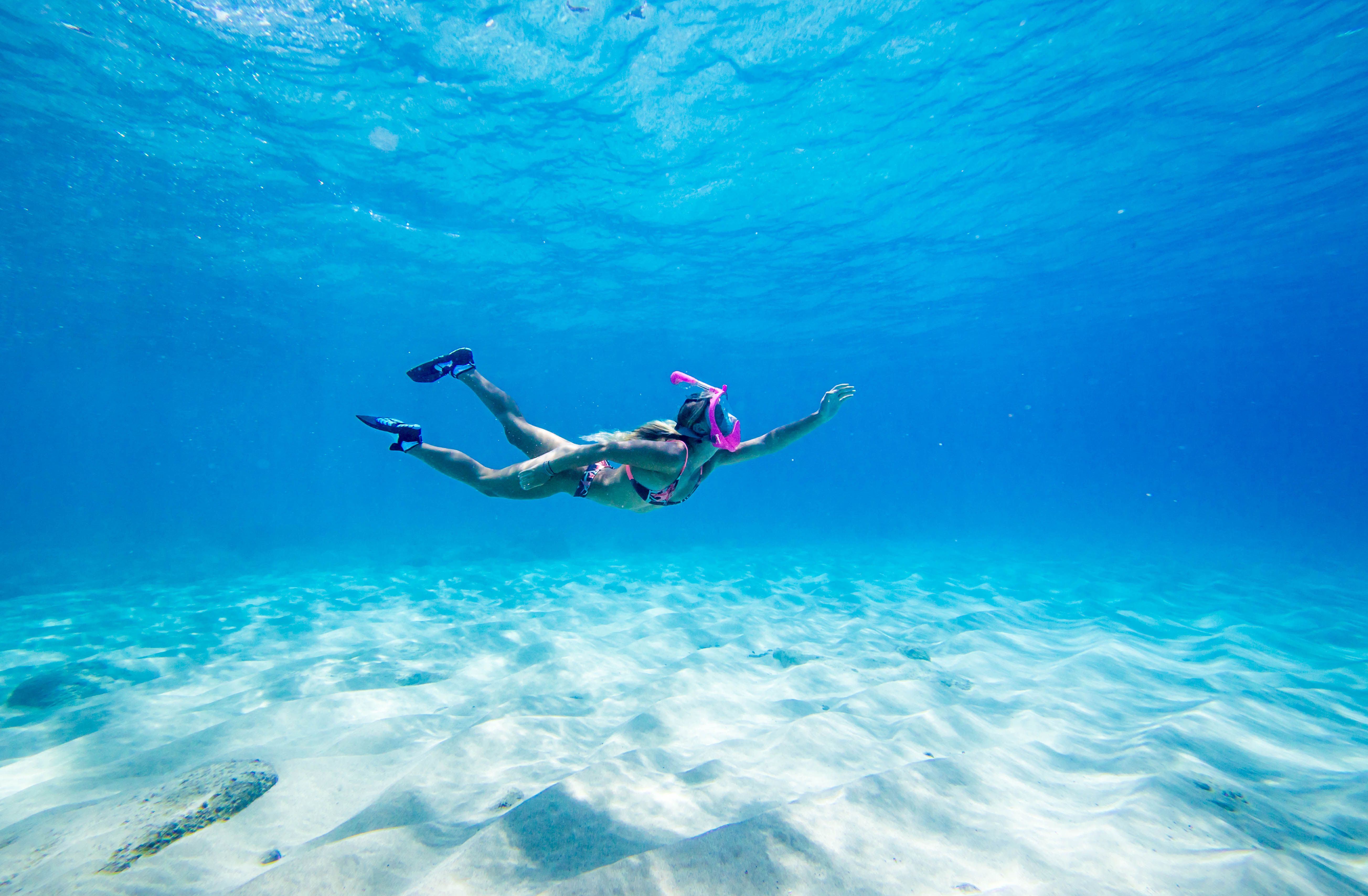 Download Free 100 + snorkeling hd Wallpapers