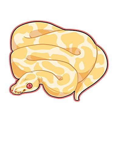 Albino ball python window truck car vinyl bumper sticker decal x automotive