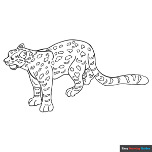 Snow leopard coloring page easy drawing guides