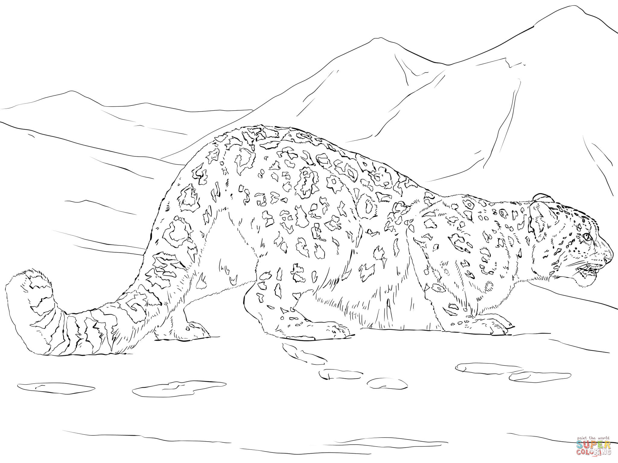 Snow leopard hunting coloring page free printable coloring pages