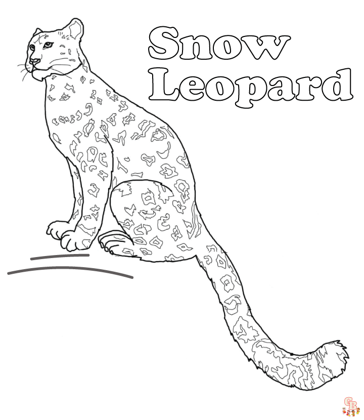 Enjoy the beauty of snow leopards with coloring pages