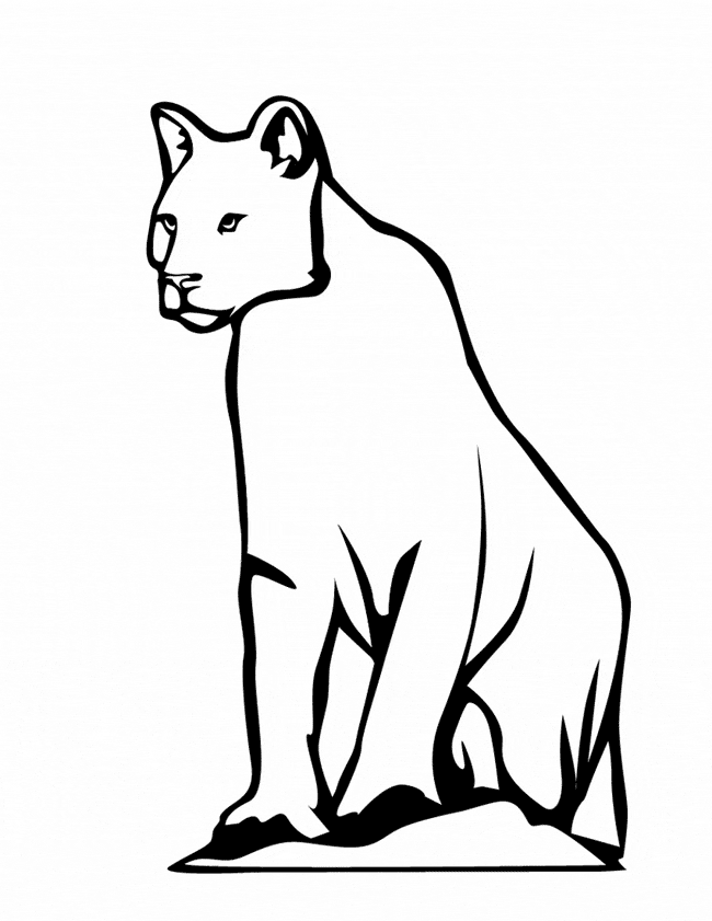 Snow leopard coloring page