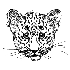 Top free printable leopard coloring pages online