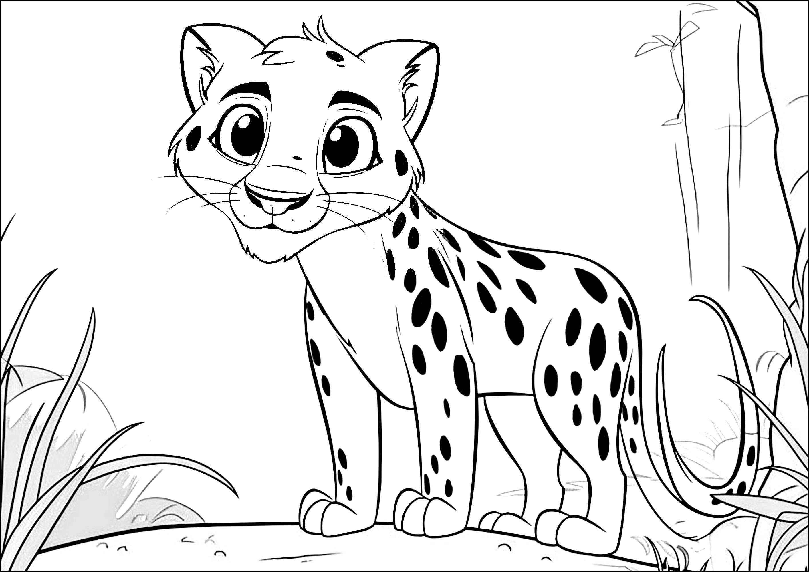 Cheetah coloring pages