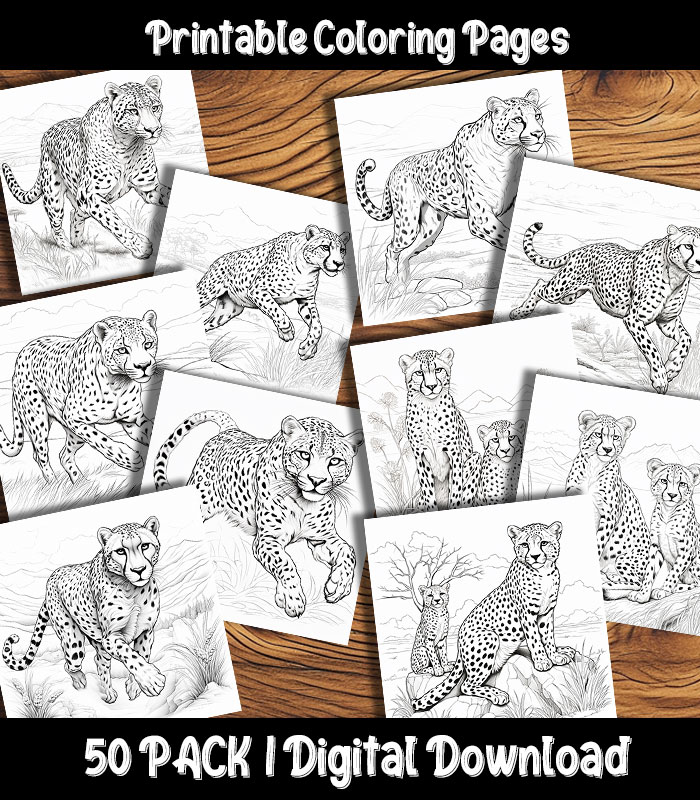 Cheetah coloring pages printable pack happy colorist