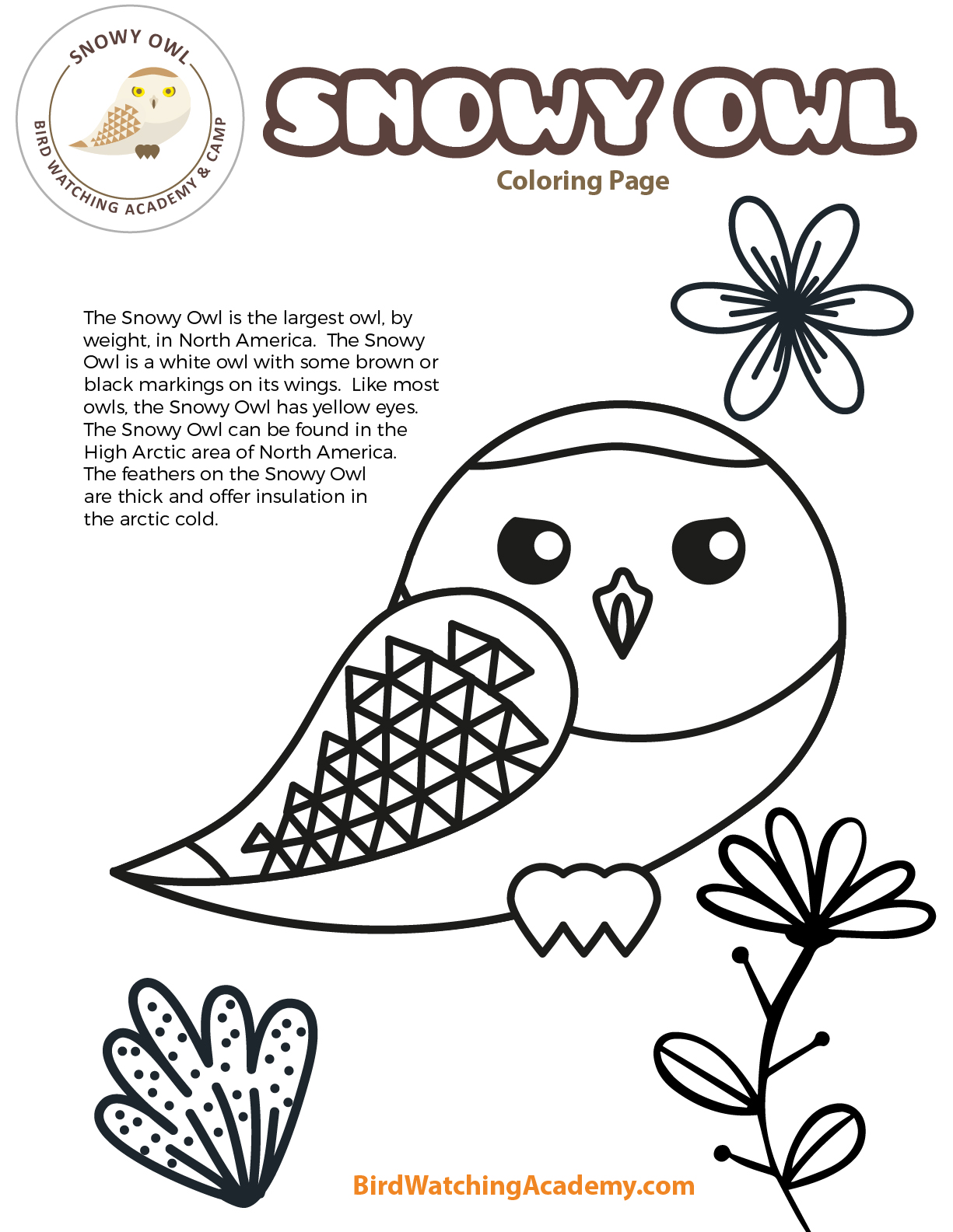 Snowy owl coloring page