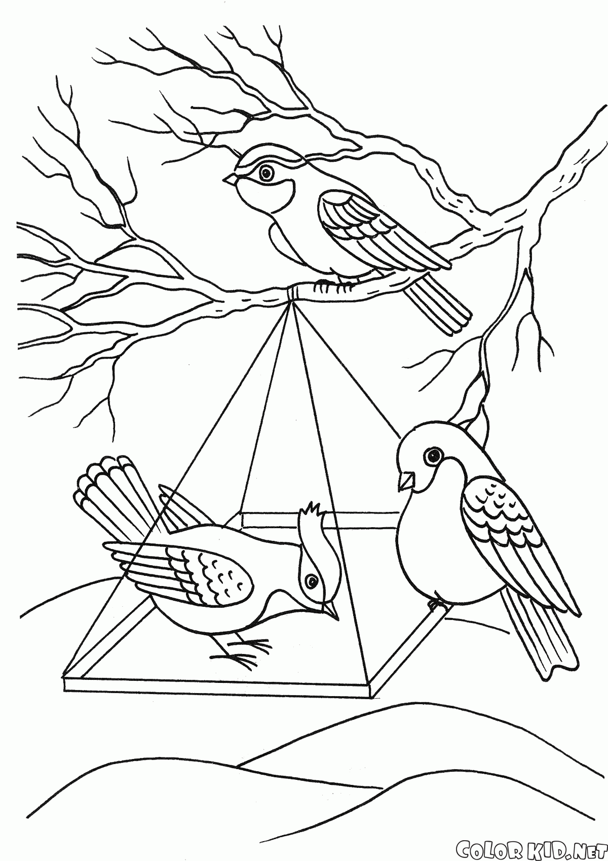 Coloring page