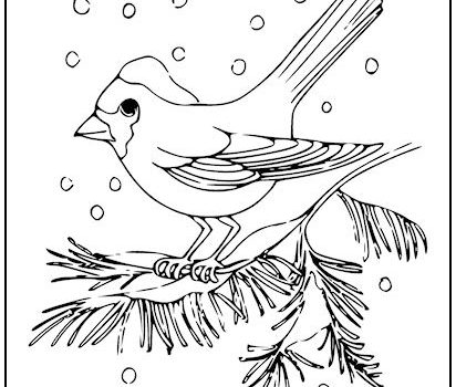 Tag bird coloring page print it free