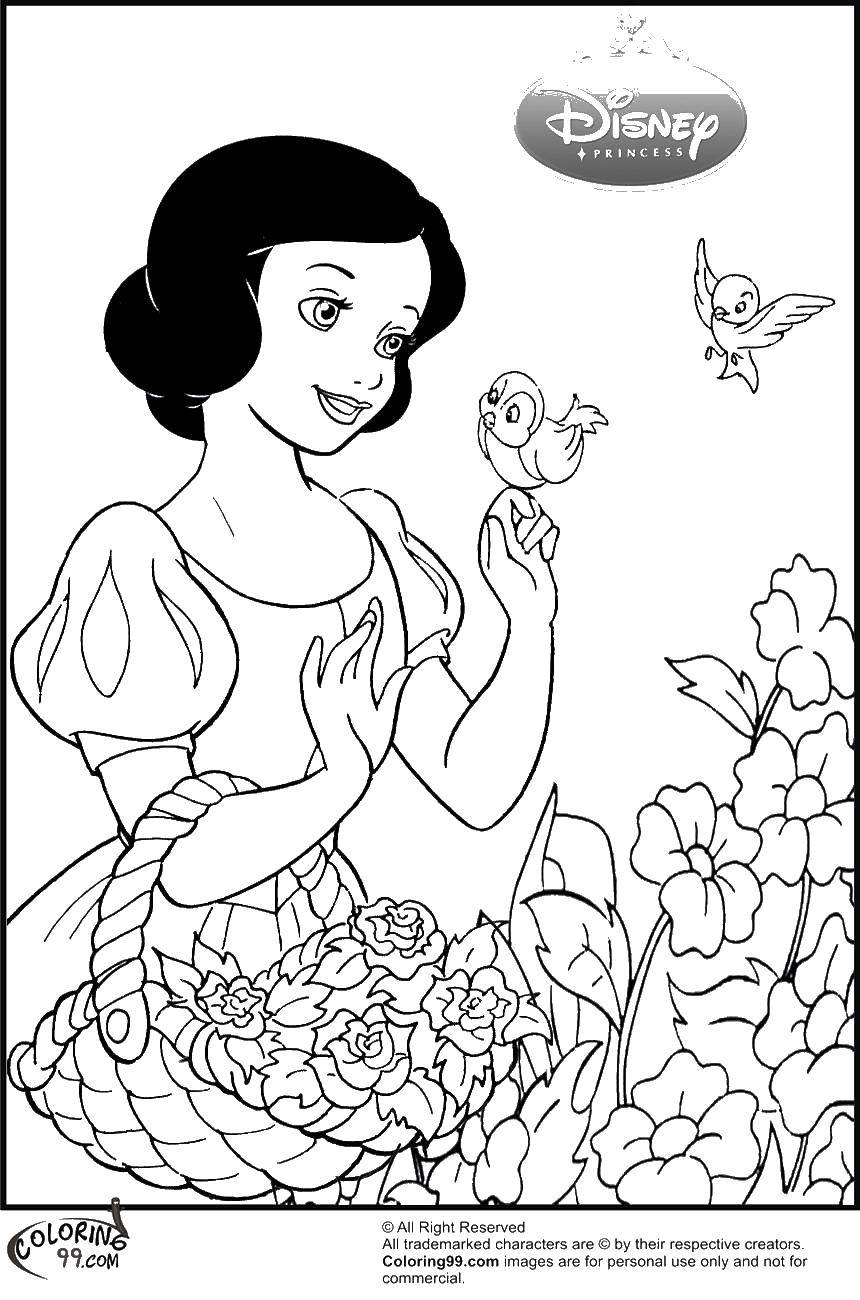 Online coloring pages coloring page snow white with birds and flowers snow white download print coloring page