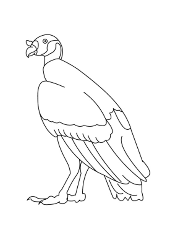 Coloring pages king vulture coloring pages for kids