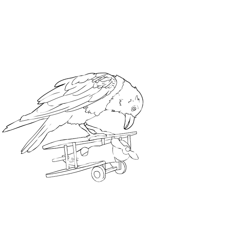 Bird coloring pages