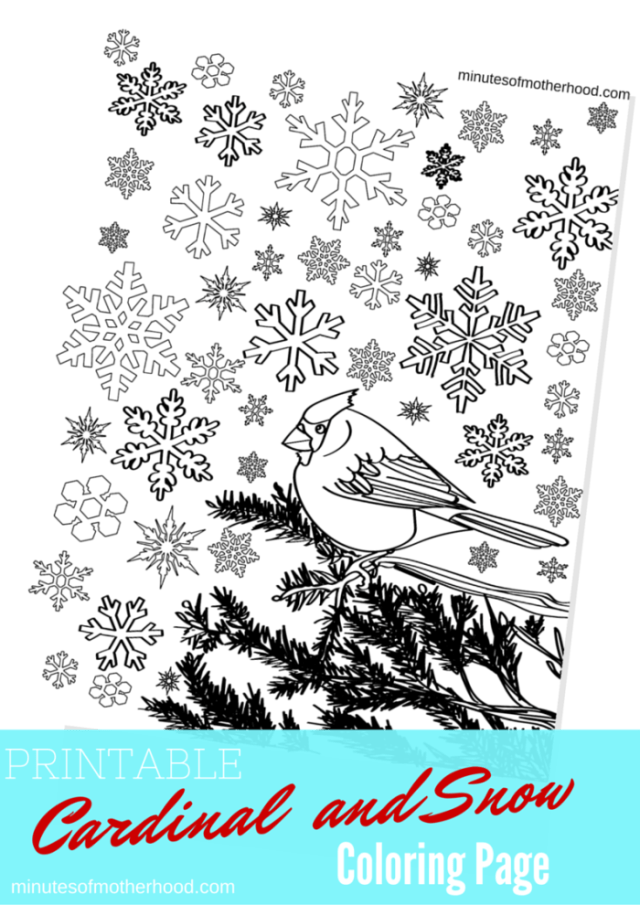 Cardinal in the snow free printable adult coloring page â miniature masterminds