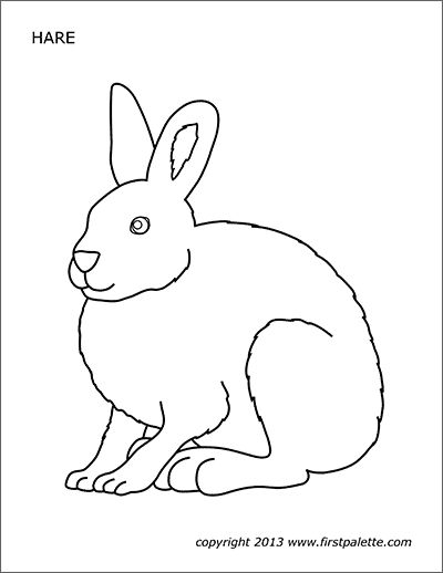 Animal printables page free printable templates coloring pages firstpalette coloring pages easter coloring pages animal printables