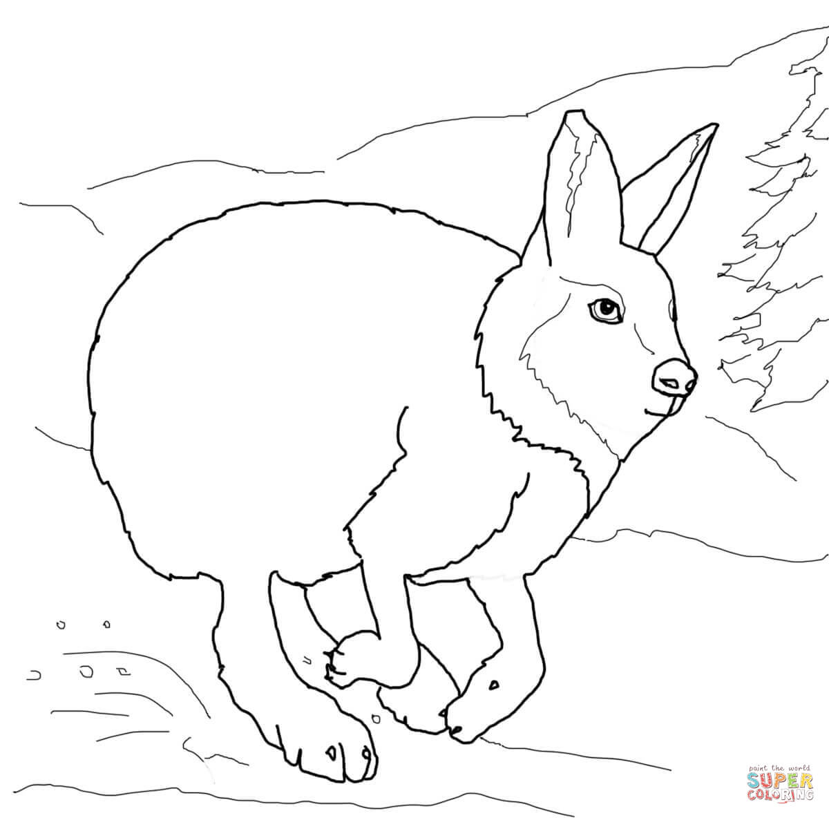 Running arctic hare coloring page free printable coloring pages